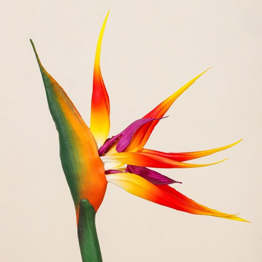 Long Stem Artificial Bird of P - огляд і ціна Bird Paradise Strelitzia