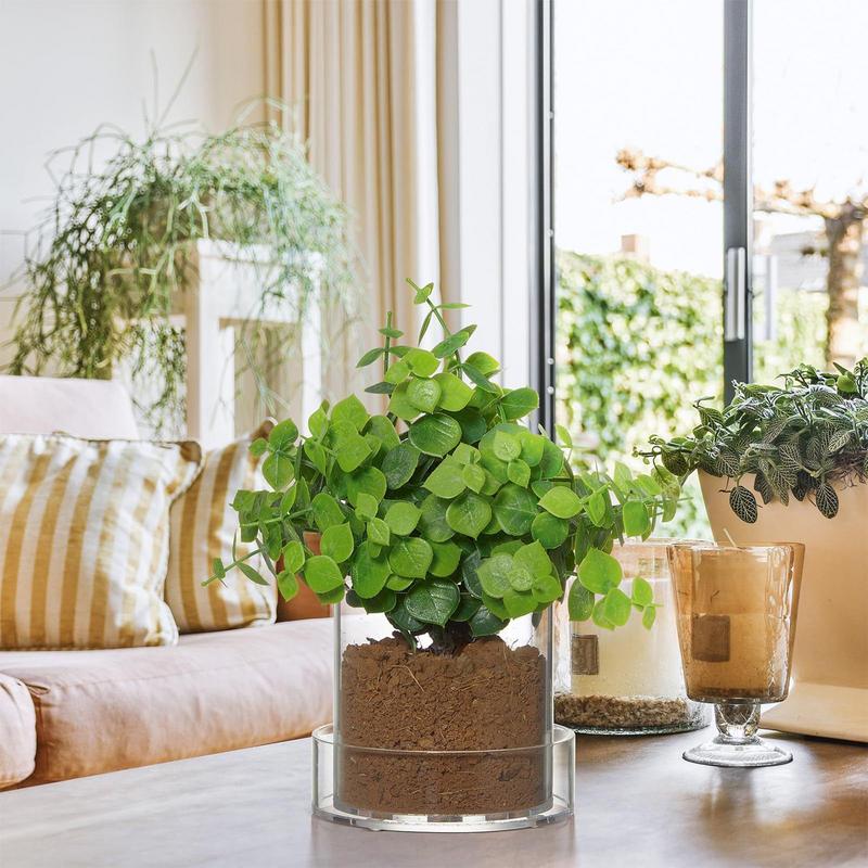 Clear Plant Pots With Drainage - огляд і ціна Aloe Vera Pot
