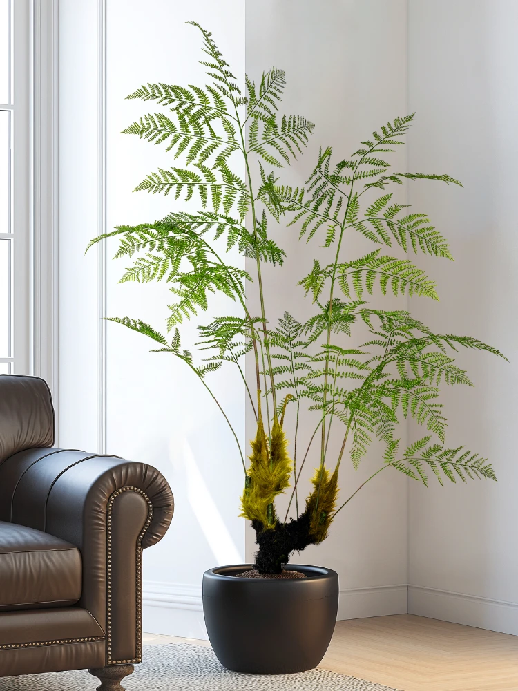 Large Simulated Golden Monkey  - огляд і ціна Dracaena Marginata