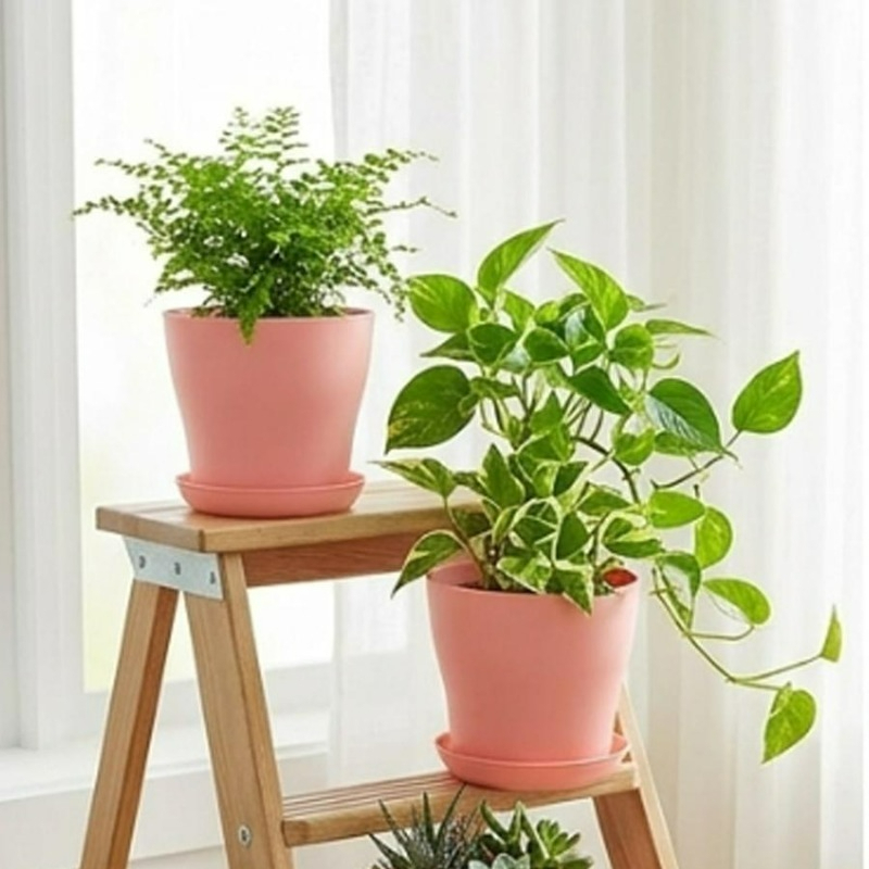 Plant Pot Set with Drainage Ho - огляд і ціна Aloe Vera Pot