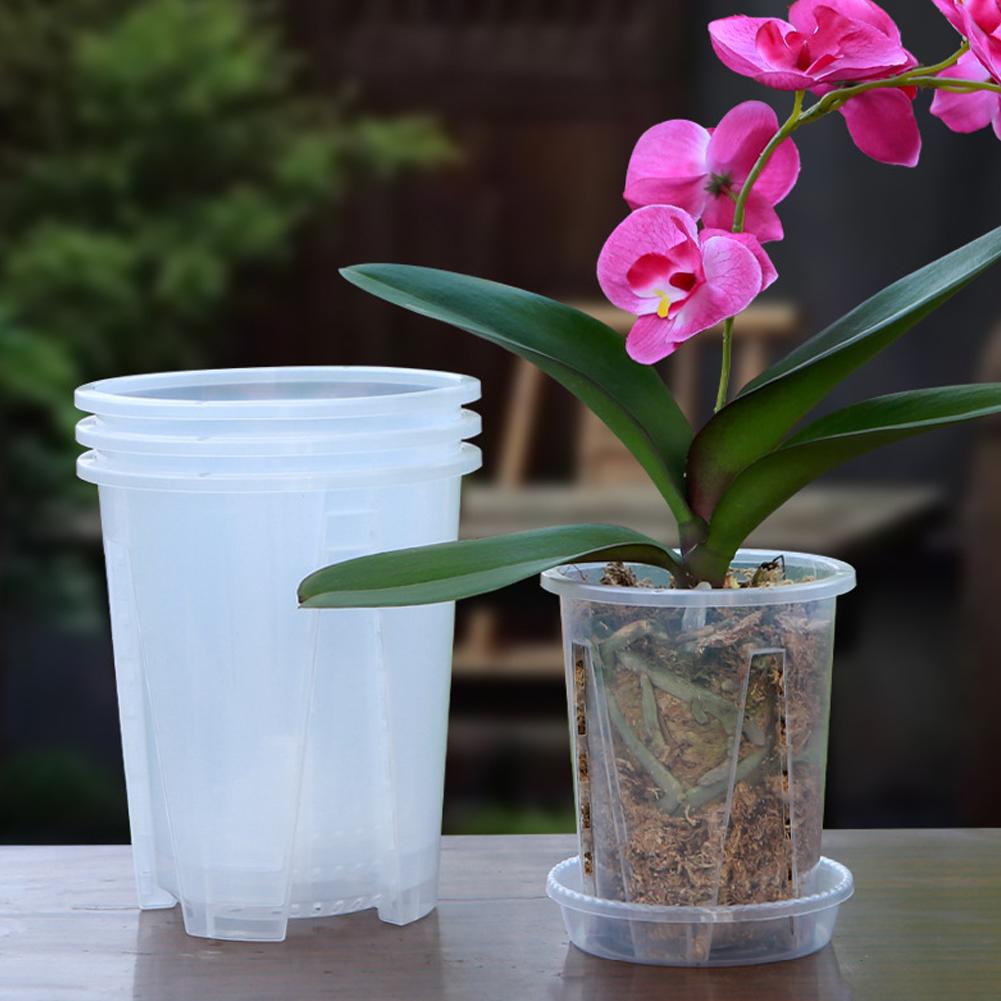 5PCS/Kit Clear Plastic Orchid  - огляд і ціна Aloe Vera Pot