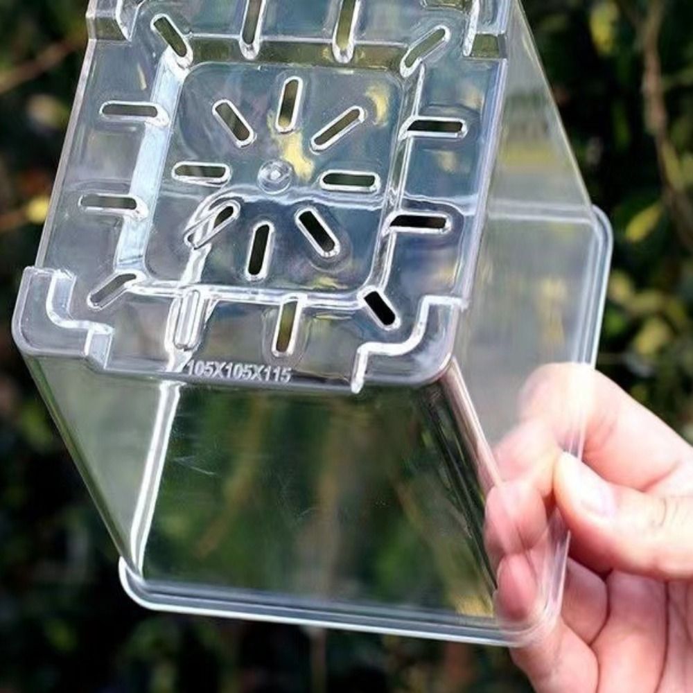 5PCS/Kit Clear Plastic Orchid  - огляд і ціна Aloe Vera Pot