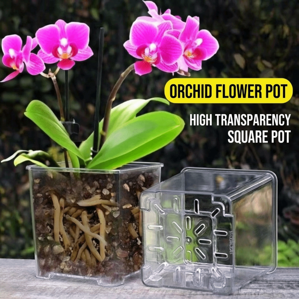 5PCS/Kit Clear Plastic Orchid  - огляд і ціна Aloe Vera Pot