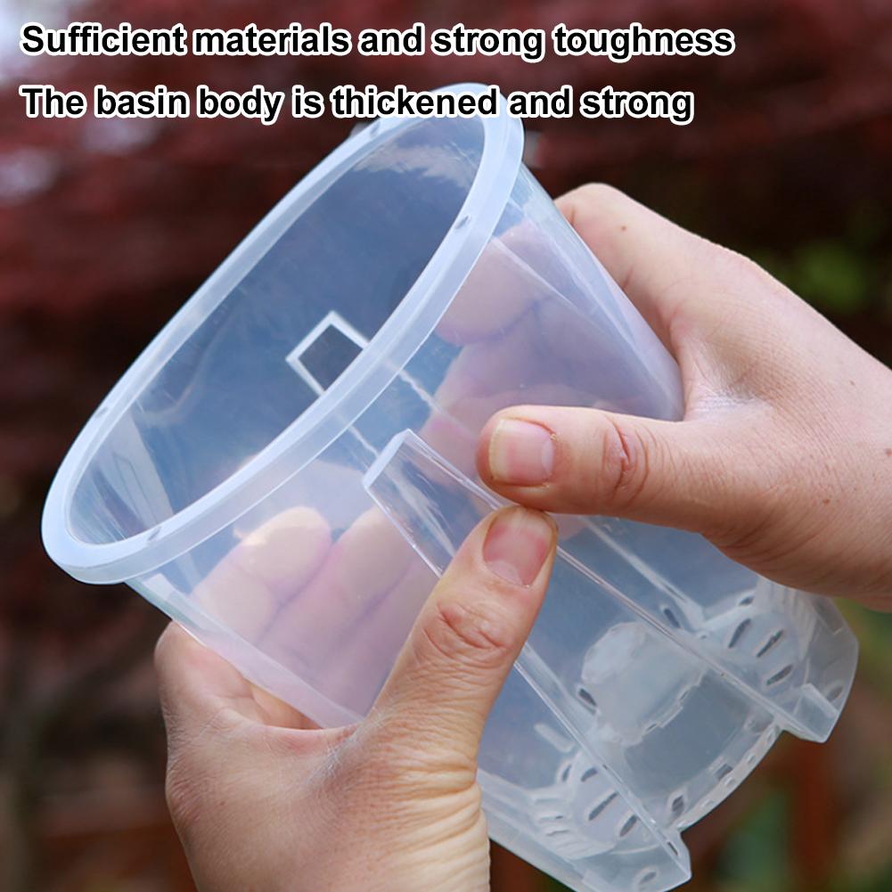 5PCS/Kit Clear Plastic Orchid  - огляд і ціна Aloe Vera Pot